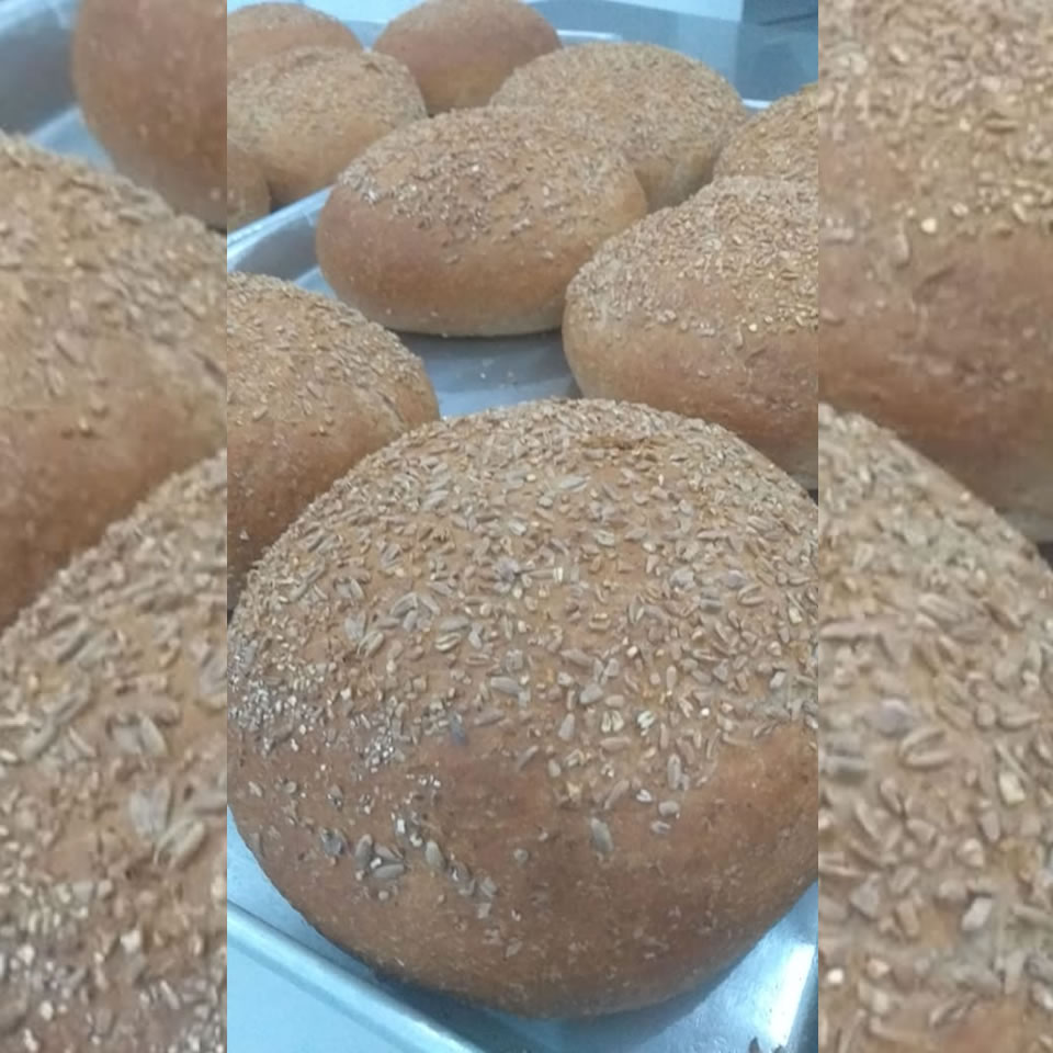 descrição da imagem