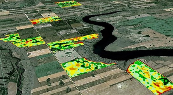 descrição da imagem