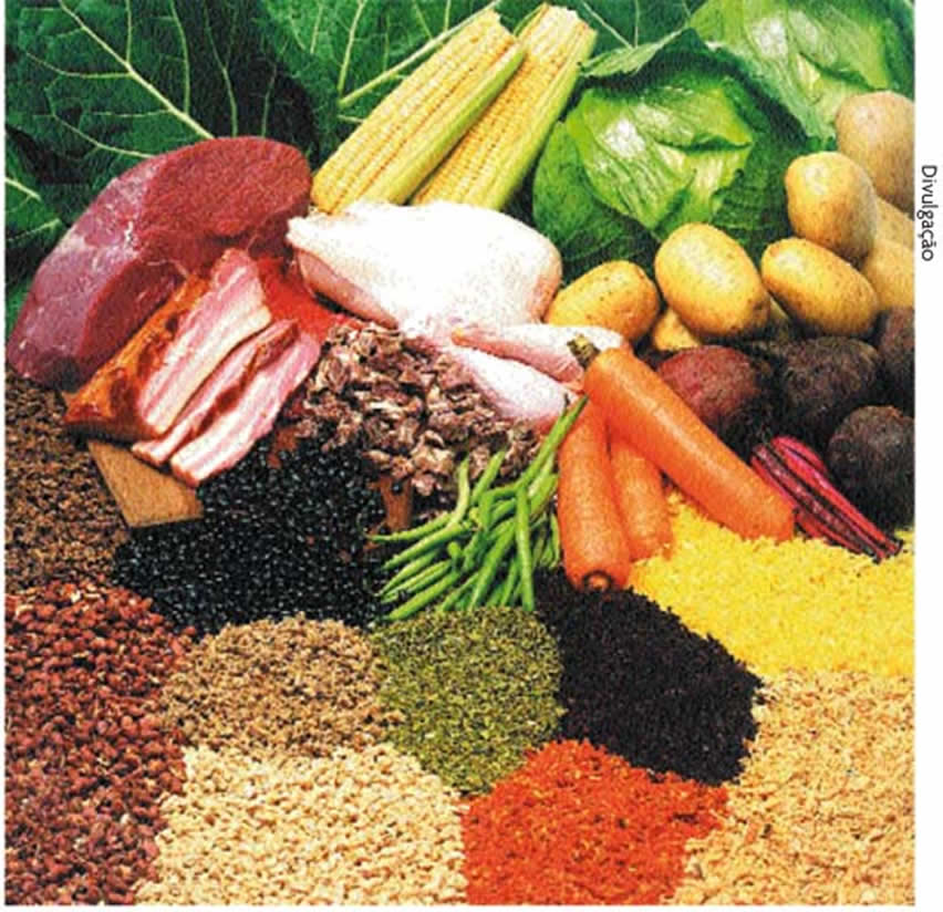 descrição da imagem